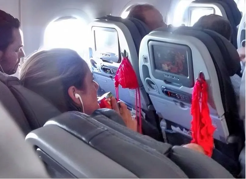 15. This lady decided to dry her swimsuit on the airplane.jpg?format=webp