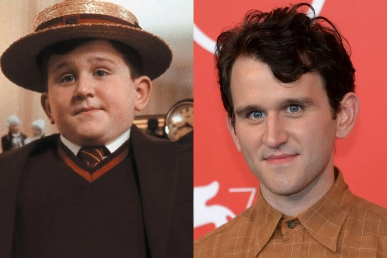 Dudley Dursley – Harry Melling.jpg?format=webp