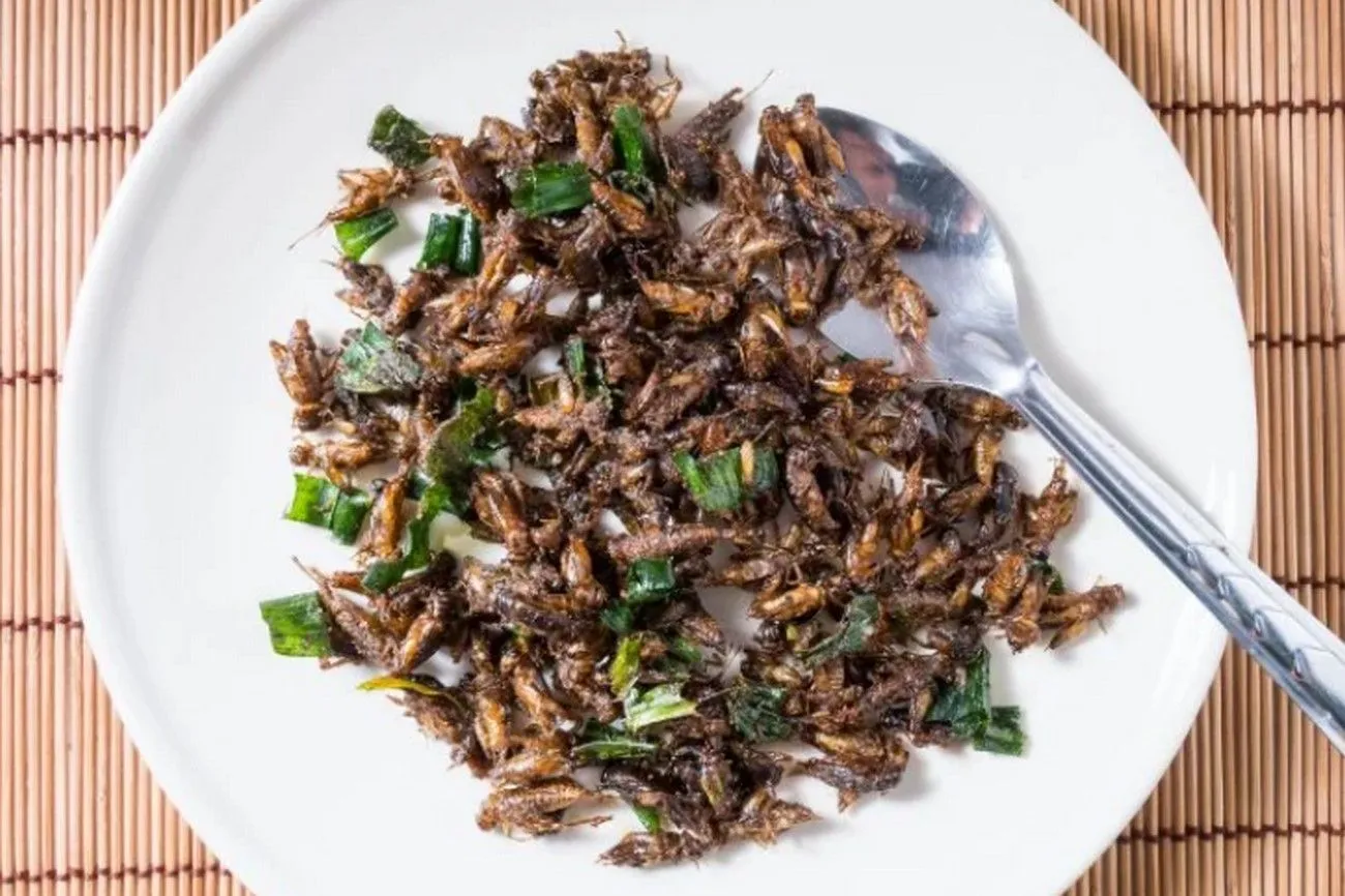 Eating Insects.jpg?format=webp