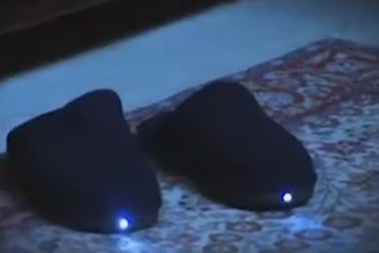 Slippers with a Light.jpg