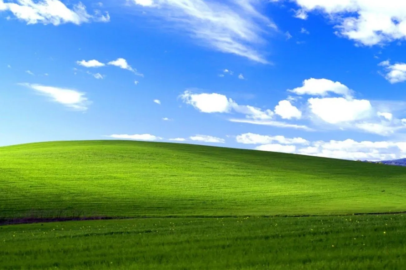 The Windows XP Background.jpg?format=webp