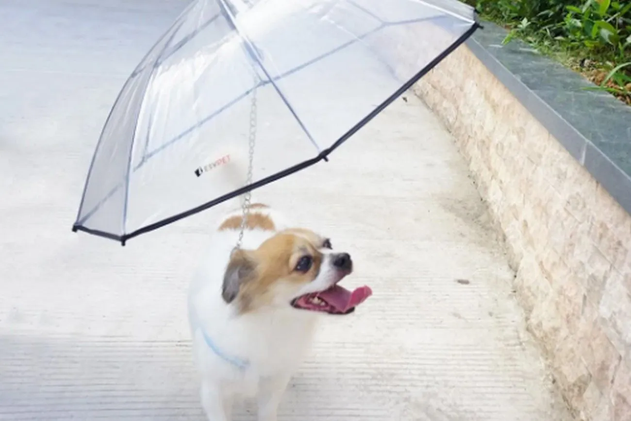 Umbrella for Pets.jpg?format=webp