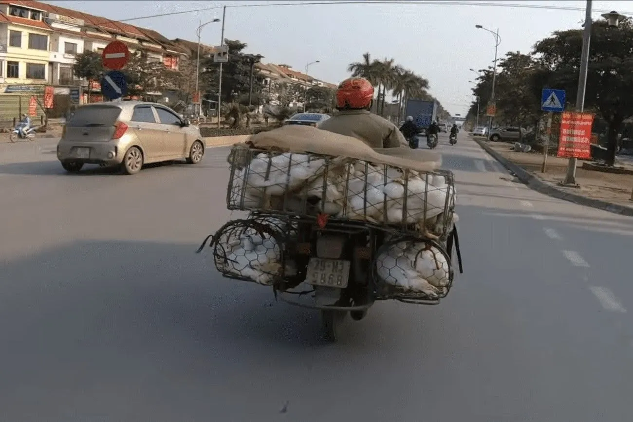 Vietnam motorbikes.jpg?format=webp
