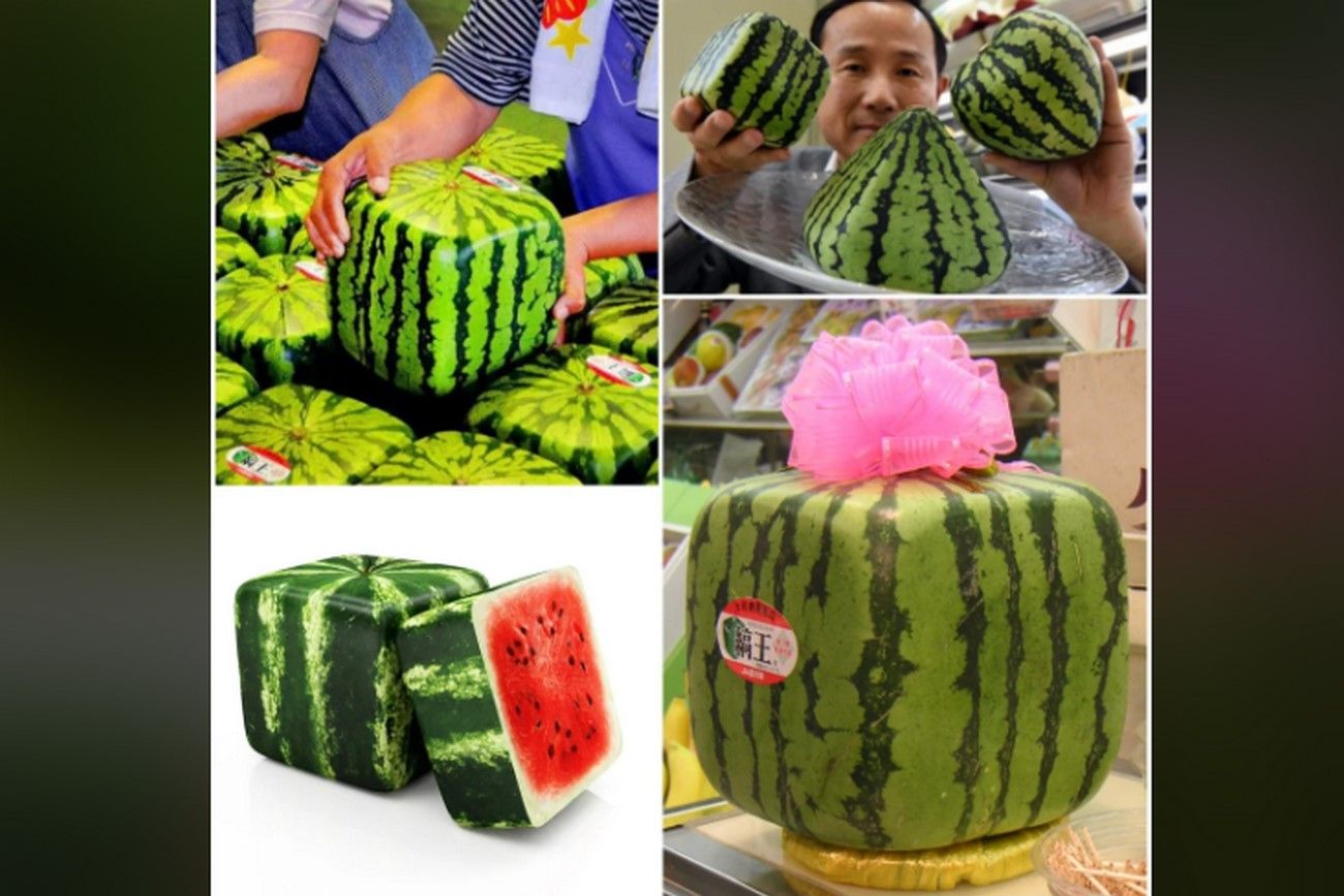 Watermelon cubes.jpg